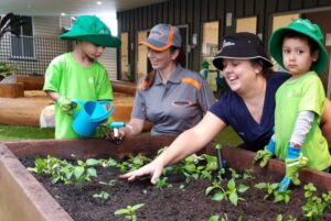 Soil in vegetable garden