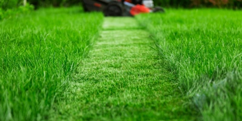 Lawn maintenance