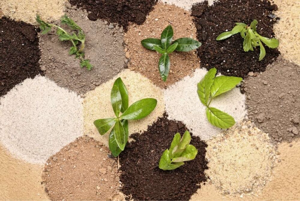 Soil Types