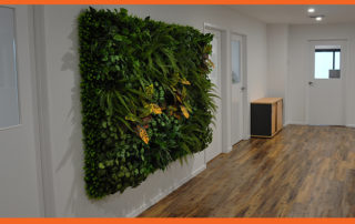 Interior fit out and feature wall