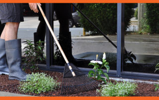 Garden Maintenance