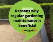 5 reasons why regular gardening maintenance is beneficial