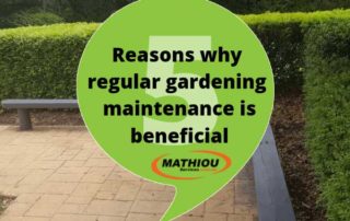 5 reasons why regular gardening maintenance is beneficial