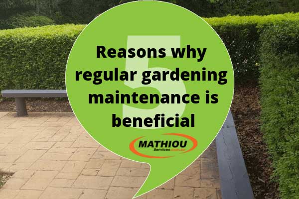5 reasons why regular gardening maintenance is beneficial