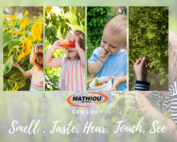 Developing sensory through play