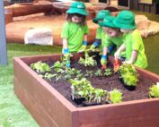 kids in garden