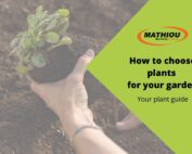 Choosing the best plants for your garden