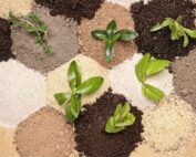 Soil Types
