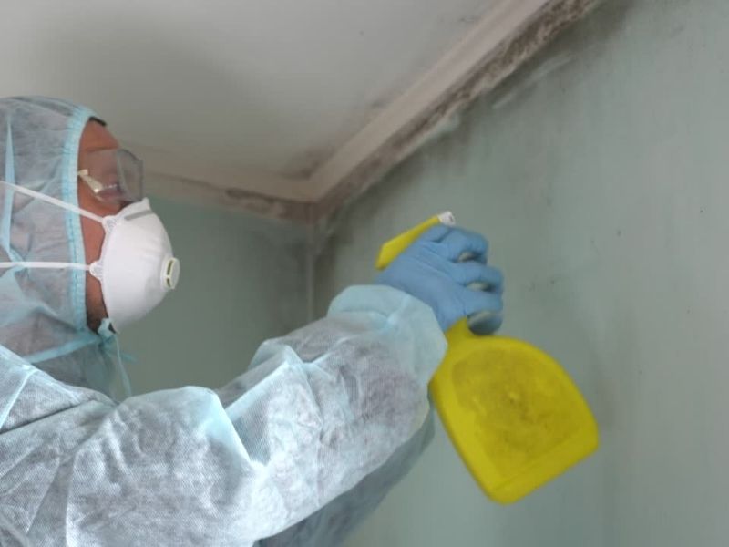 person in gear spraying mould