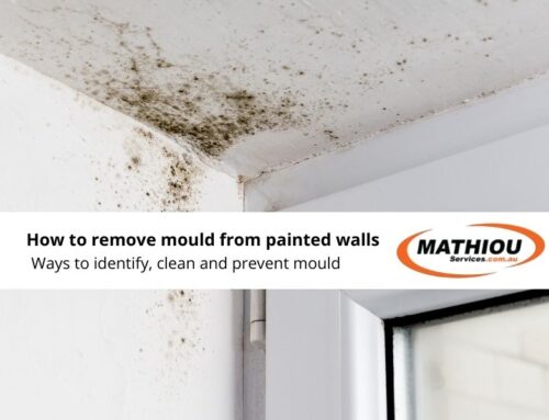 How to remove mould from painted walls