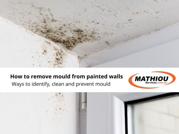 How to Remove Mould from Painted Walls - Mathiou Services