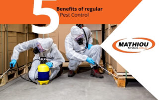 5 Benefits of regular pest control