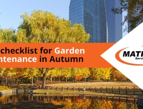 Checklist for Garden Maintenance in Autumn