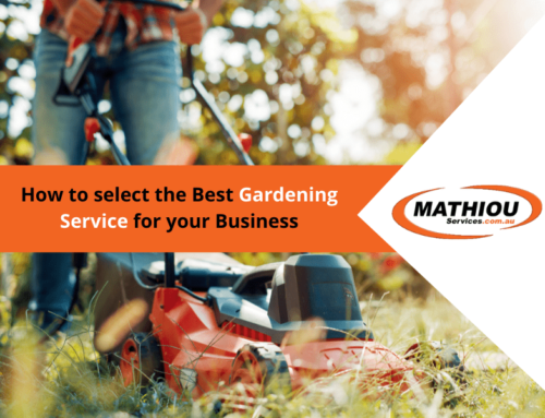 How to Select the Best Gardening Service for Your Business