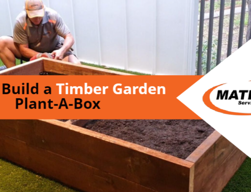 How to Build a Timber Garden Plant-A-Box