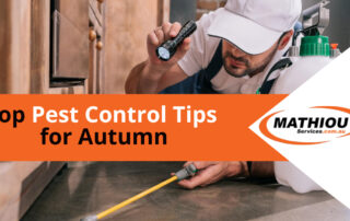 top pest control tips for autumn MS