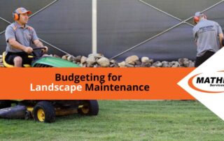 how to budget for Landscape Maintenance