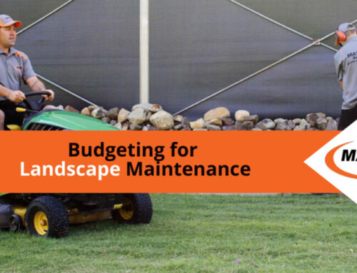 Budgeting for Landscape Maintenance