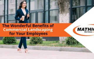 Commercial landscaping benefits your employees in more ways than one