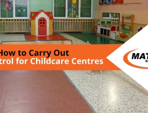 How to Carry Out Pest Control for Childcare Centres