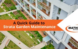 Read this blog for a quick guide to strata garden maintenance.