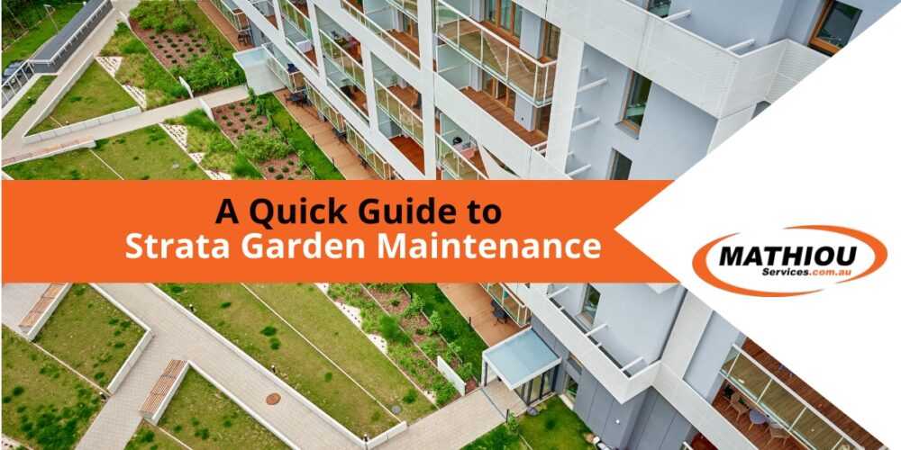 Read this blog for a quick guide to strata garden maintenance.