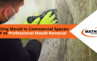 Battling Mould in Commercial Spaces DIY vs Professional Mould Removal