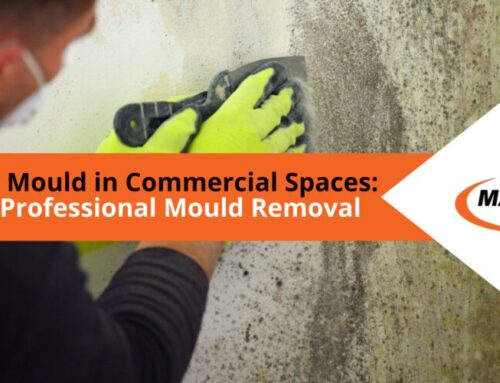 Battling Mould in Commercial Spaces: DIY vs Professional Mould Removal