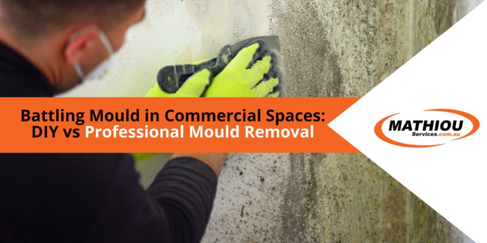Battling Mould in Commercial Spaces DIY vs Professional Mould Removal