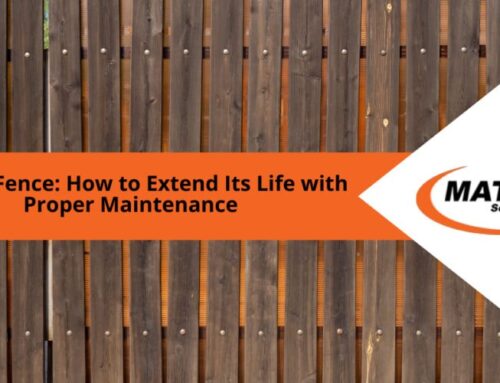Timber Fence: How to Extend Its Life with Proper Maintenance