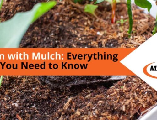 Blog: Garden with Mulch: Everything You Need to Know for Your Commercial Space
