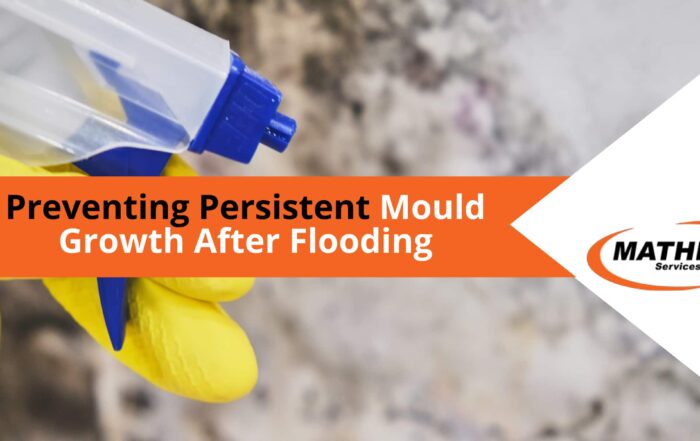 Preventing Mould Growth After Flooding