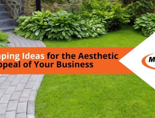 Landscaping Ideas for the Aesthetic Appeal of Your Business