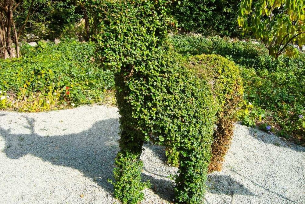 hedge raindeer