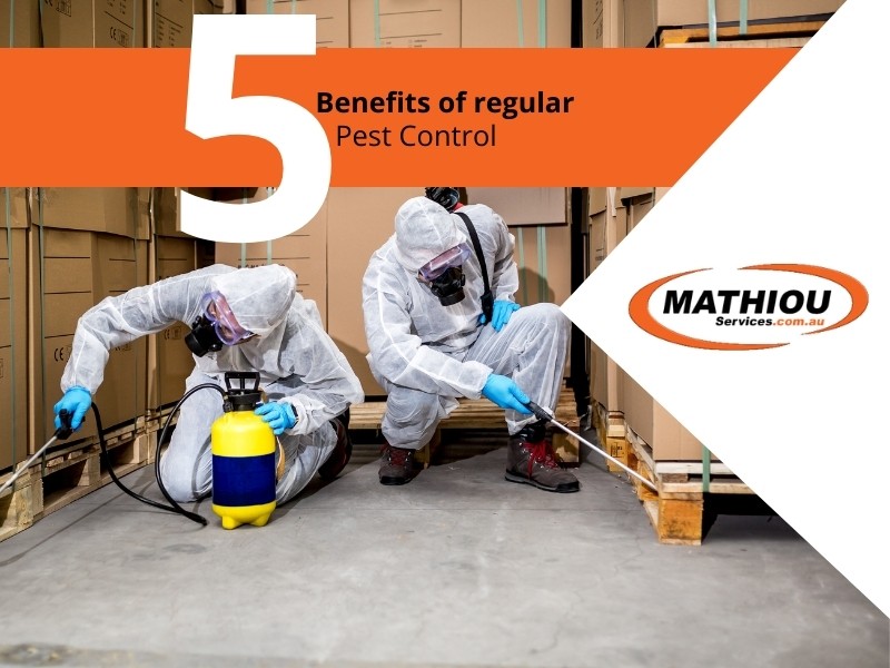 5 Benefits of regular pest control