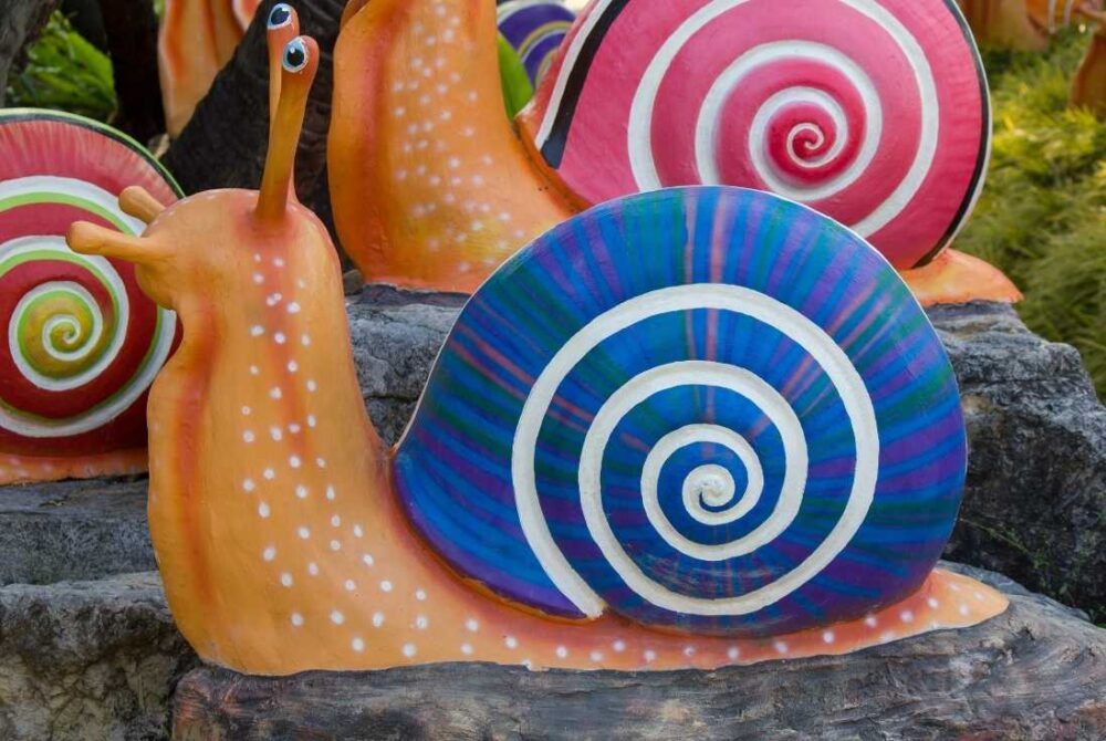 colourful snail