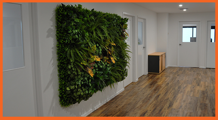 Interior fit out and feature wall