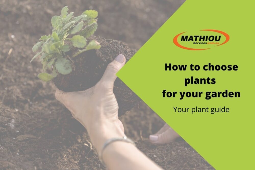 Choosing the best plants for your garden