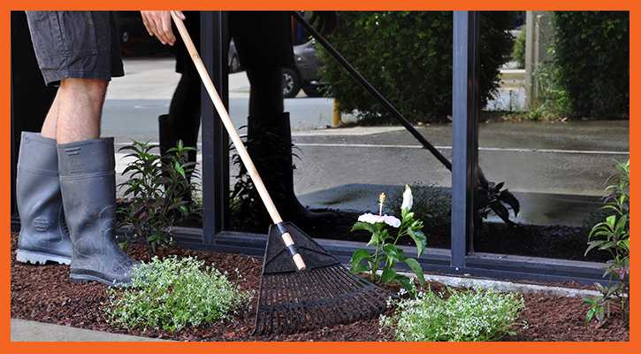 Garden Maintenance