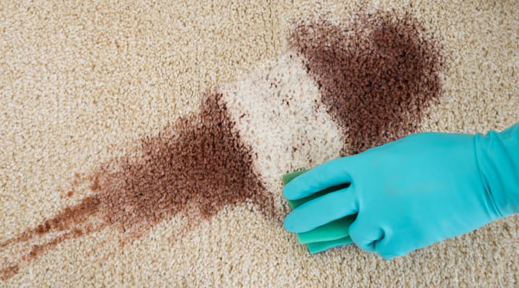 cleaning carpet stains