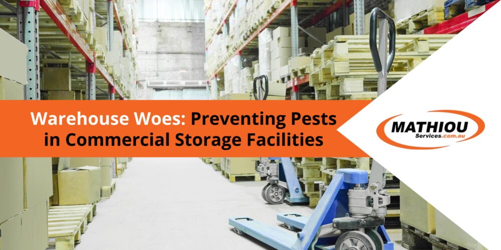 Warehouse Woes: Preventing Pests in Commercial Storage Facilities - A Guide from Mathiou Services
