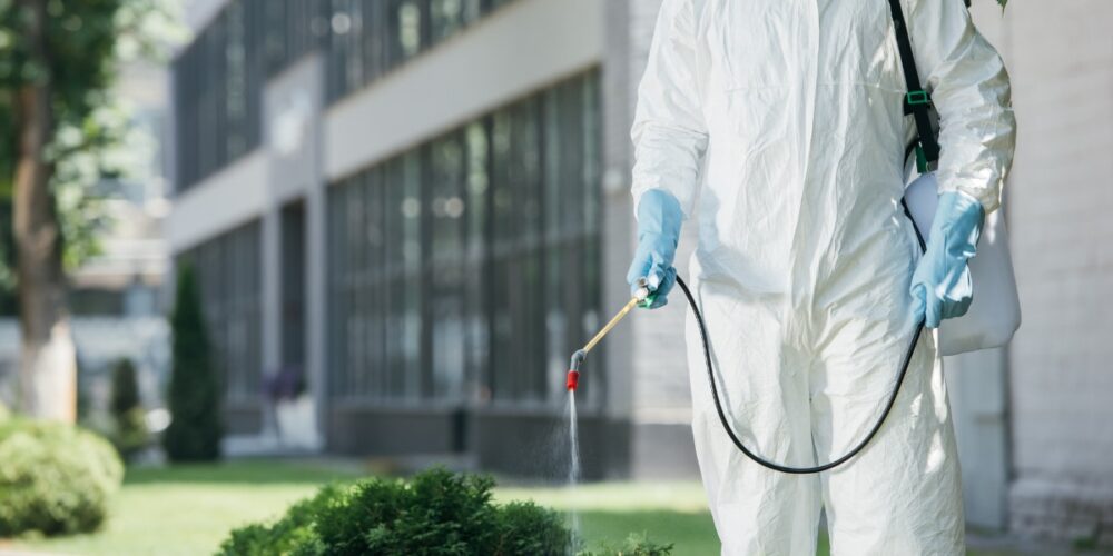 commercial pest control