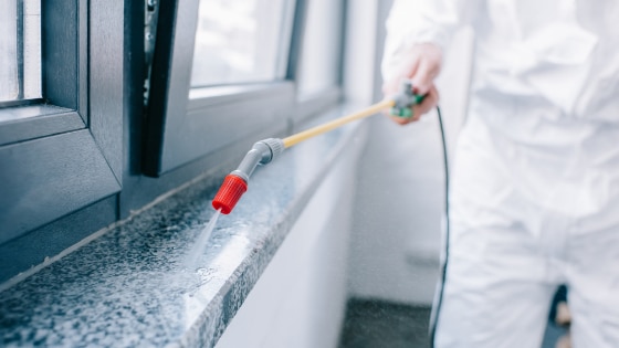 commercial pest control