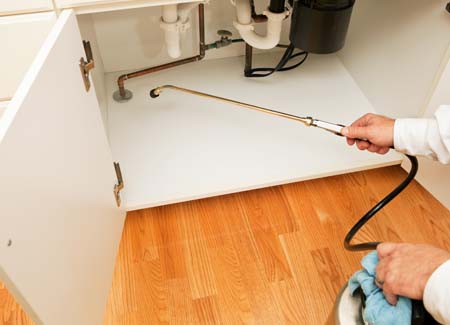Protect your building this autumn with pest control services