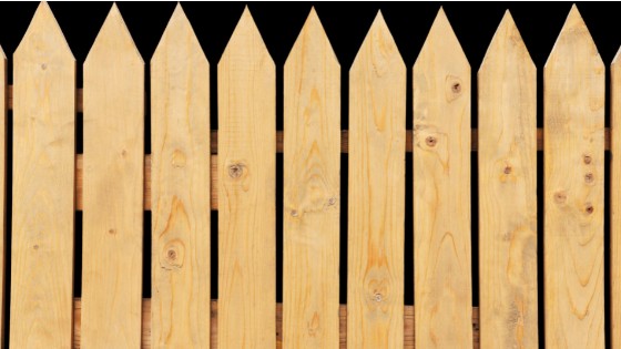 timber fence
