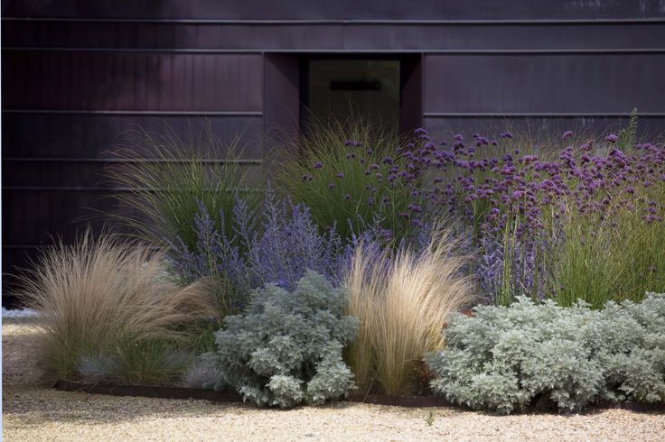 planting-by colour pallet