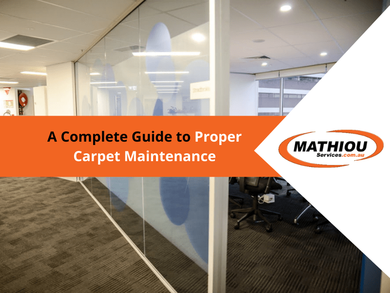A complete guide to proper carpet maintenance image
