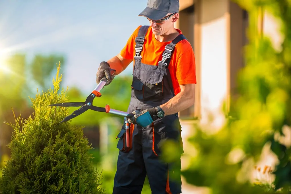 commercial lawn care