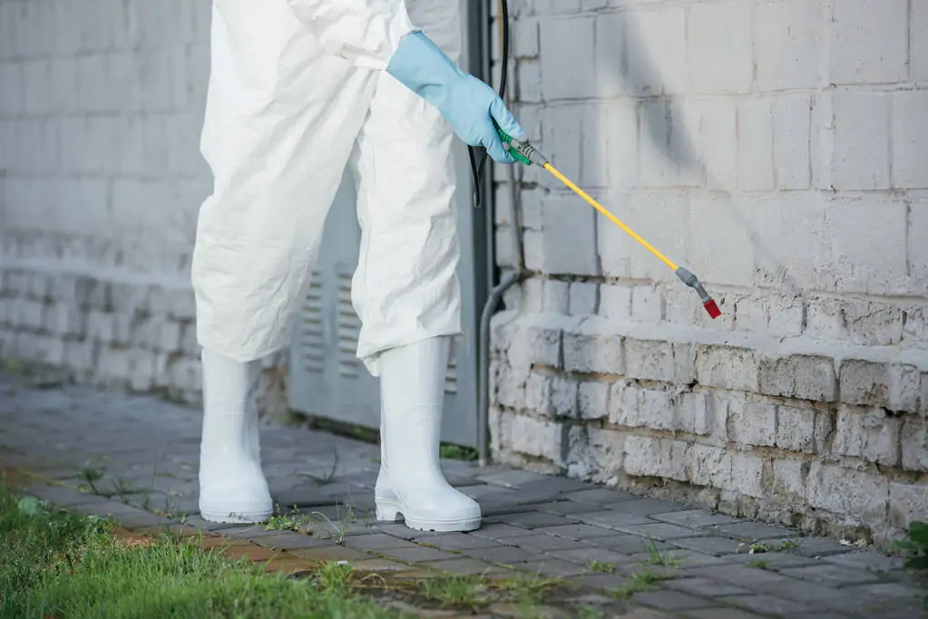 commercial pest control